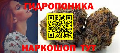 мяу мяу мука Абакан