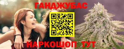 Альфа ПВП Гатчина