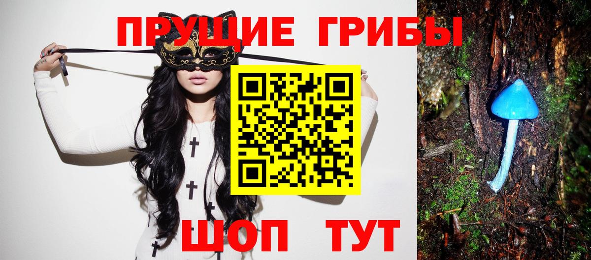 закладки  Псилоцибиновые грибы ЛСД  Ялта  Псилоцибиновые грибы мицелий 