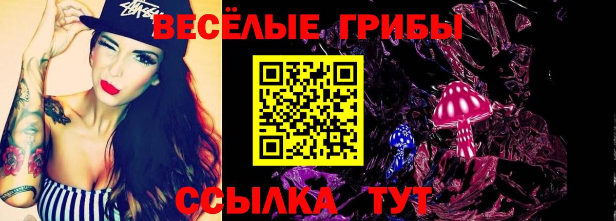 Псилоцибиновые грибы GOLDEN TEACHER  закладка  Вход с VPN  Ялта  Галлюциногенные грибы Psilocybe 