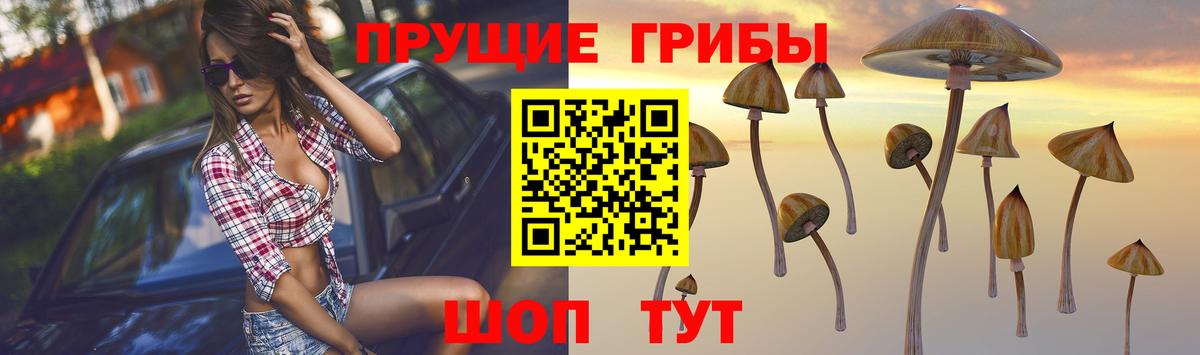 Галлюциногенные грибы мухоморы  Вход с VPN  сколько стоит  Ялта 